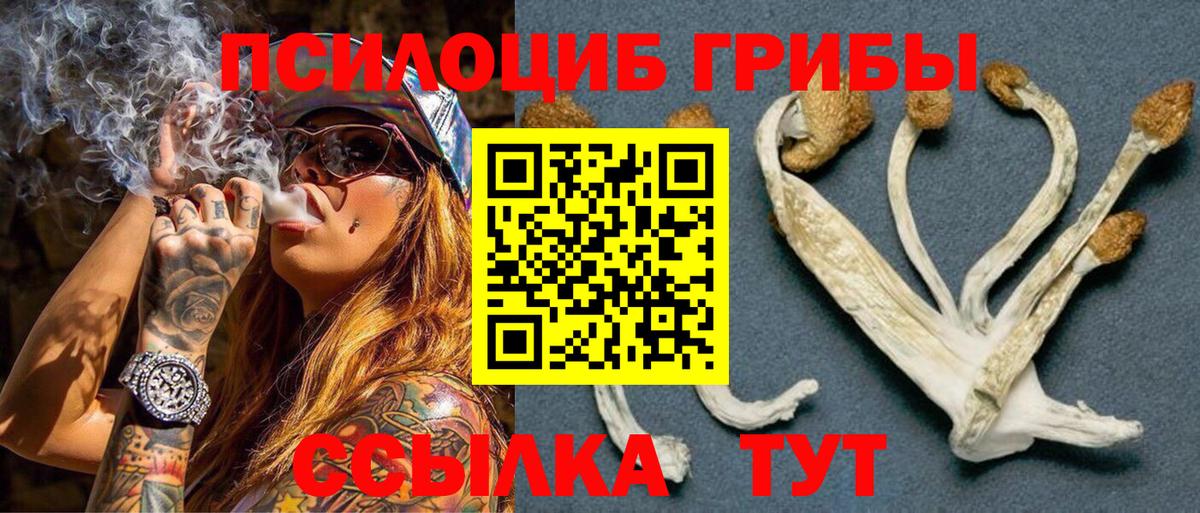 Псилоцибиновые грибы мухоморы Новозыбков