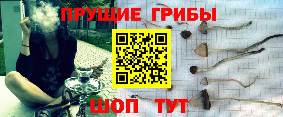 Псилоцибиновые грибы ЛСД  Вход с VPN  Новозыбков 